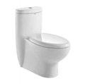 Water Saving Dual Flush Toilet, ADA Compliant Comfort Height, Quiet Close Seat Included