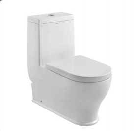 Modern Single Flush Toilet with Glazed Surface, Self-Cleaning & Anti-Clog Siphon Flush
