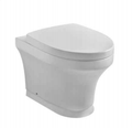 Minimalist Floor Mounted Toilet, Concealed Water Tank Look, Space-Saving & Easy Maintenance